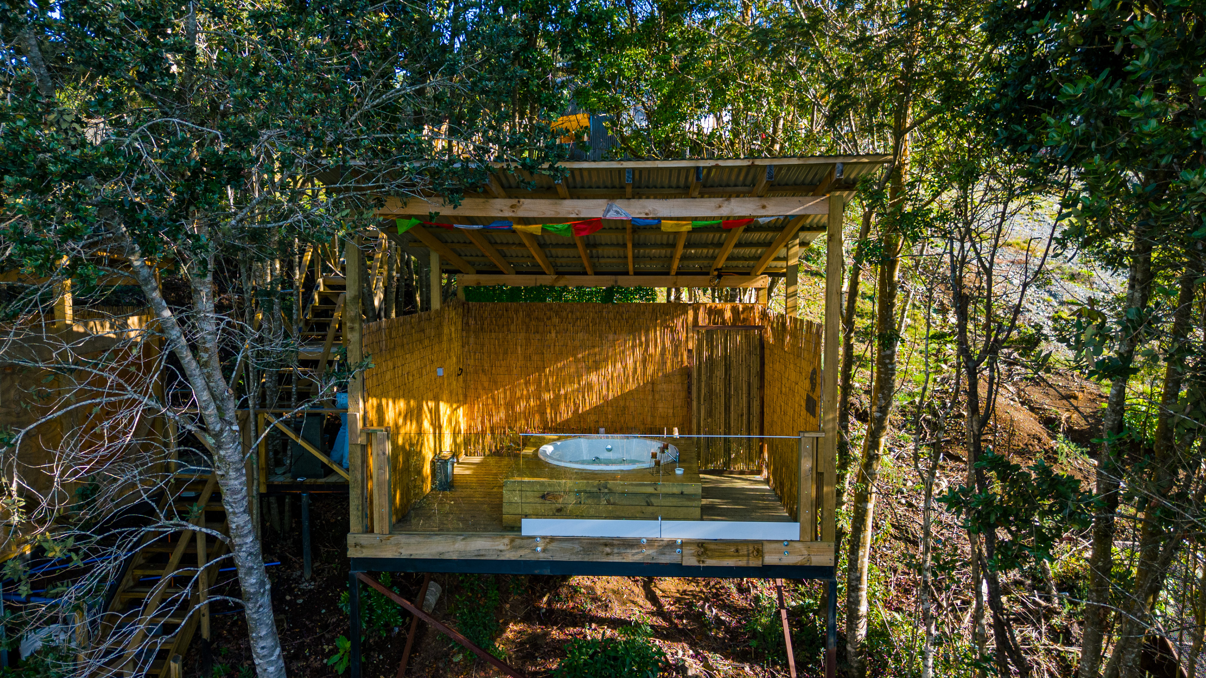 Inmerso en la naturaleza